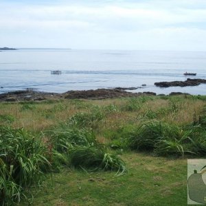 The south east of the island - St Michael's Mount