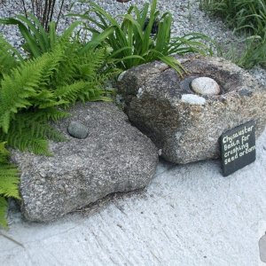 Wayside Museum, Zennor - 03Jun10