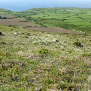 Open-top bus trip, N. Penwith - 03Jun10