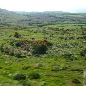 Open-top bus trip, N. Penwith - 03Jun10