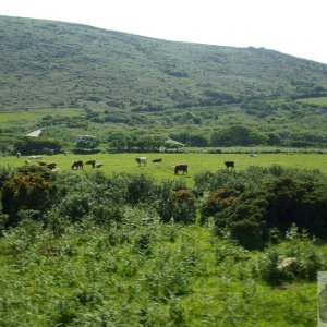 Open-top bus trip, N. Penwith - 03Jun10