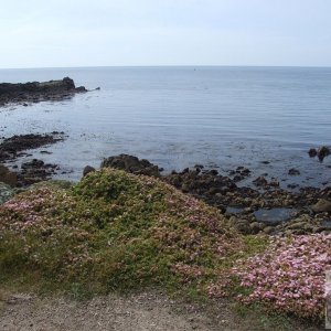 Across Lyonesse - 62