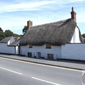 Hawke's Farm, Alverton, Penzance 2006