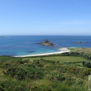 Bryher Patch - 25