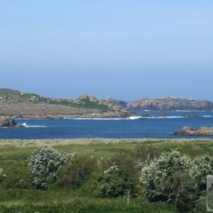 Bryher Patch - 29