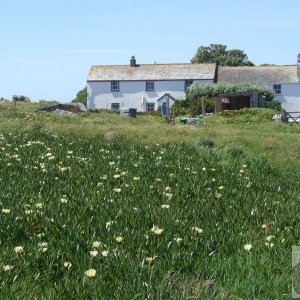 Bryher Patch - 31