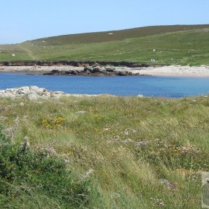 Bryher Patch - 33