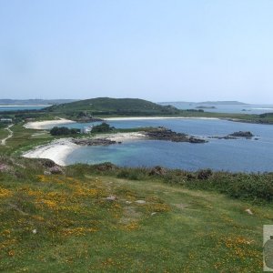 Bryher Patch - 49