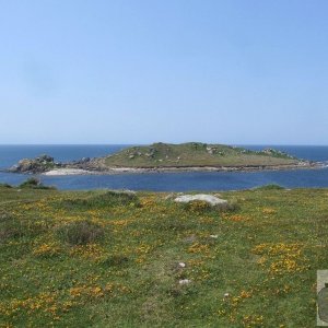 Bryher Patch - 54