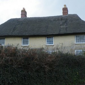 Trenow Farm