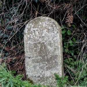 Trenow