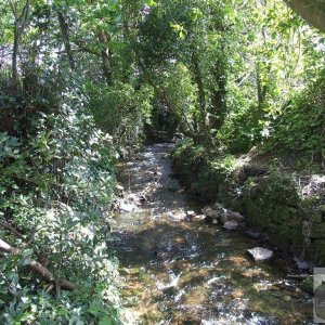 Lariggan Brook