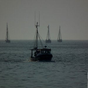 Flotilla - 08