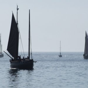 Flotilla - 10