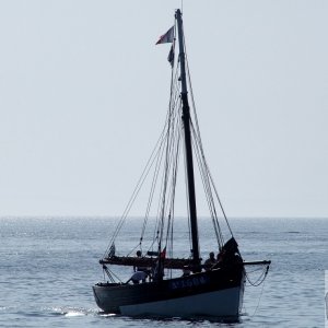 Flotilla - 11