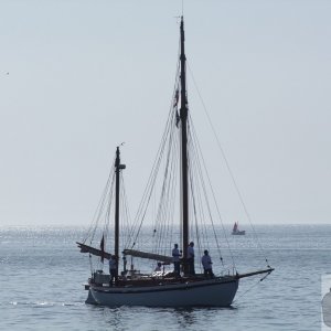 Flotilla - 14