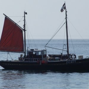 Flotilla - 15