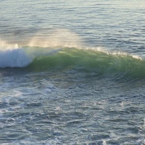 Surf's Up - 03