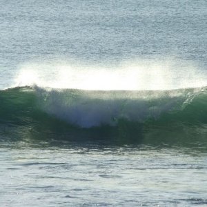 Surf's Up - 08
