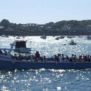 Island Traffic - 37a