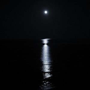 Moonlight - 1