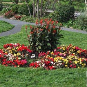 Bolitho Colour