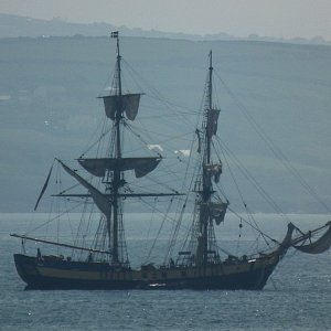 Phoenix [Sail]