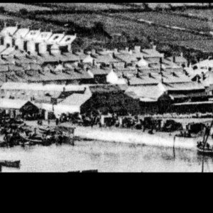 Tolcarne close up 1893.