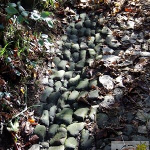 A load of cobbles