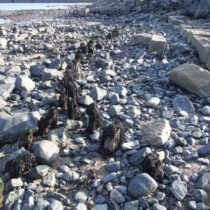 Tolcarne Sea Wall