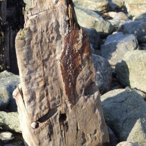 Tolcarne sea wall