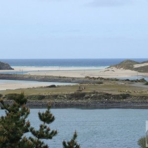 Hayle Estuary