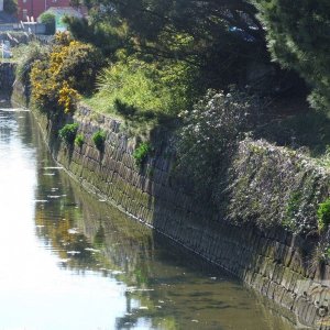 Copperhouse Canal