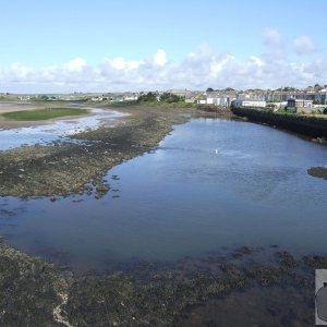 Copperhouse Canal low tide