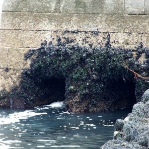 Carnsew Pool - Sluices