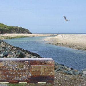 Hayle Estuary