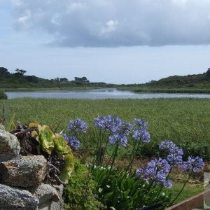 Tresco Bays - 23