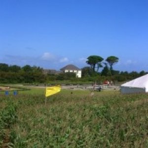 Trenhayle Maize Maze