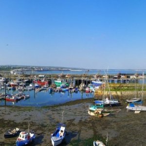 Newlyn Panorama