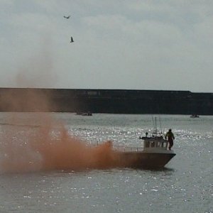 Fish Fest 2009 - 4