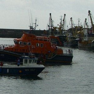 Fish Fest 2009 - 6
