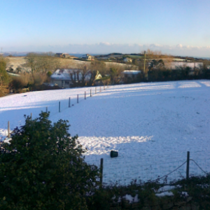 Paul Panorama