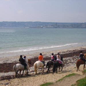 Horses on Long Rock beach