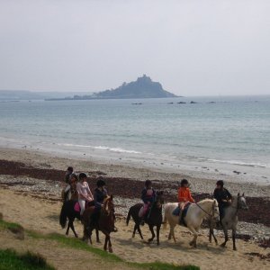 Horses at Long Rock beach
