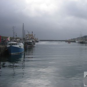 Newlyn Fish Festival 2008