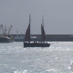 Newlyn Fish Festival 2008