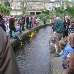 The annual duck race