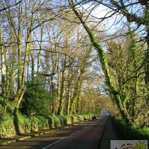 Trereife Crossroads