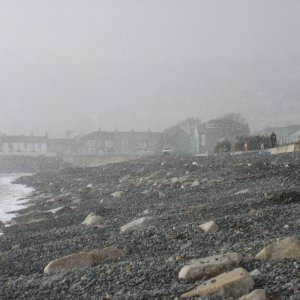 Newlyn in the snow