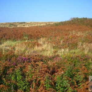 The Beautiful Penwith Moorland